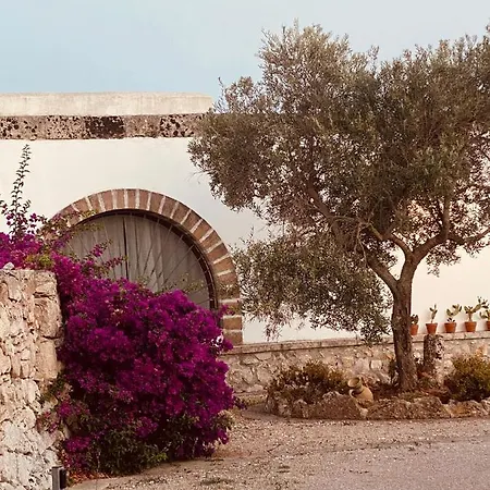 Vigna Vecchia Patù